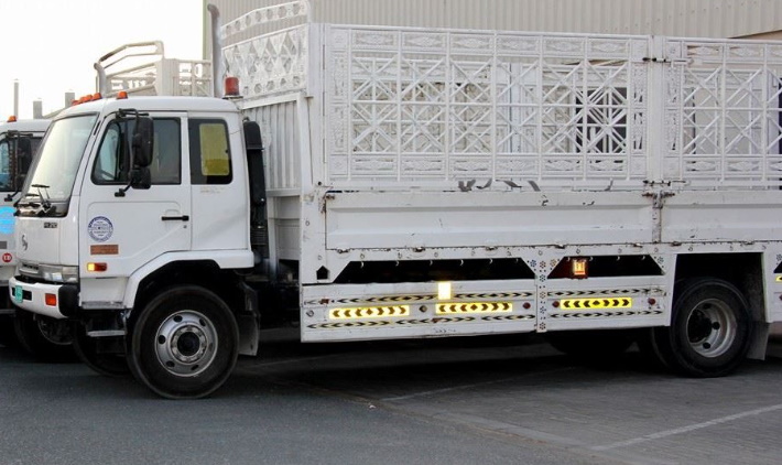 Pickup Truck for Rent in Liwan