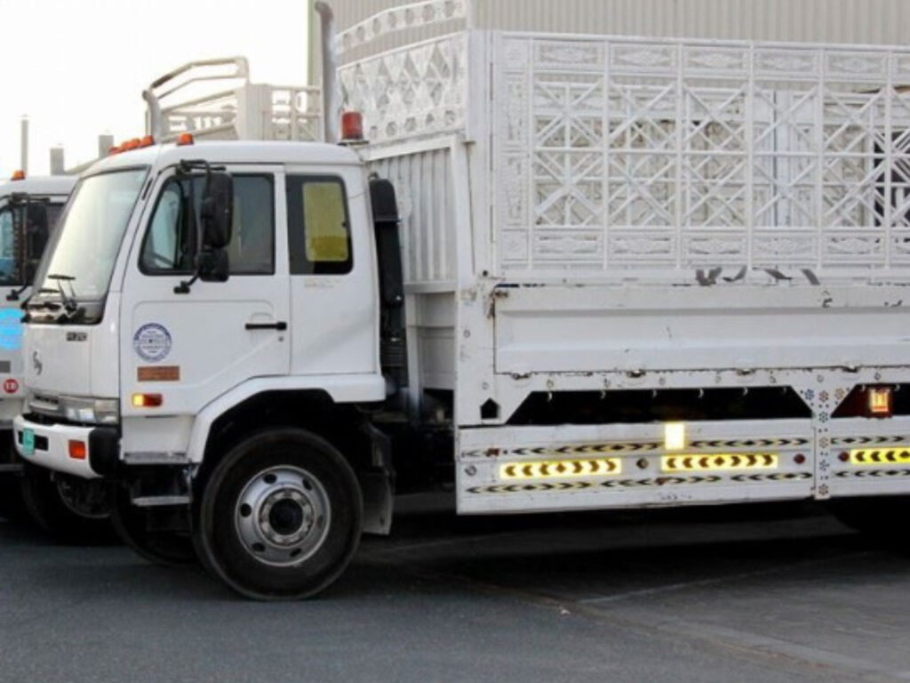 Pickup Truck Delivery Service in Liwan