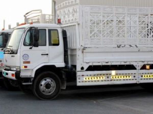 Pickup Truck Delivery Service in Liwan